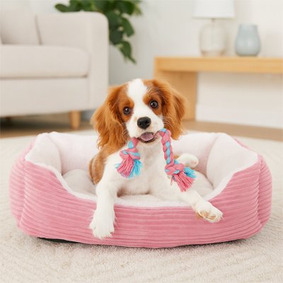 Coussin Chien | Orthopédique Premium