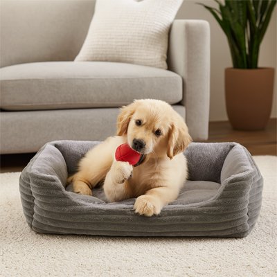 Coussin Chien | Orthopédique Premium