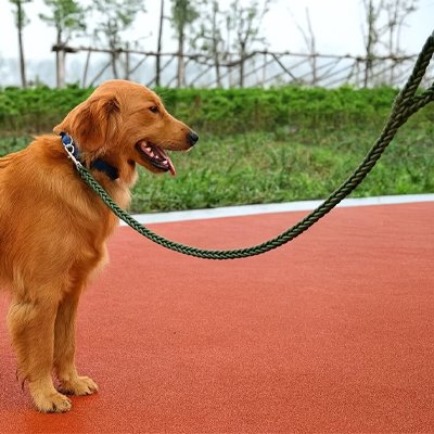 Laisse pour Chien | UltraFlex