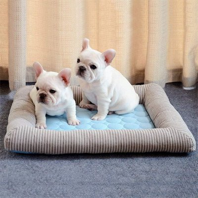Tapis rafraichissant Chien | PawCool