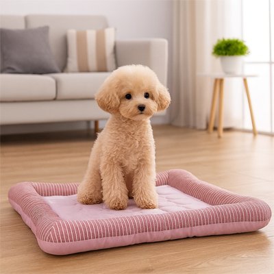Tapis rafraichissant Chien | PawCool