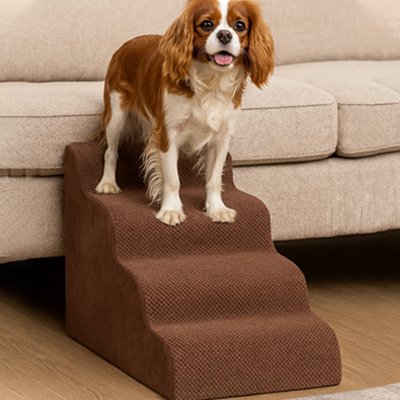 Escalier pour chien | ComfortStep